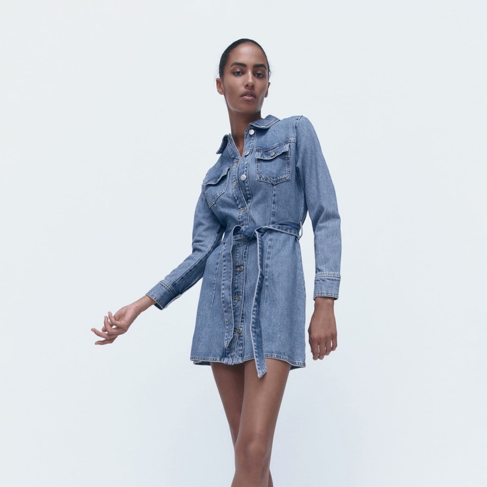 Zara Denim Mini Dress